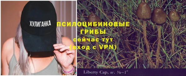 МДПВ Покровск