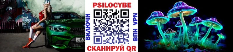 наркотики  Сорск  Псилоцибиновые грибы MAGIC MUSHROOMS 